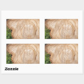 Sticker Rectangulaire Pompe d'arbre fraîche coupée (Feuille)