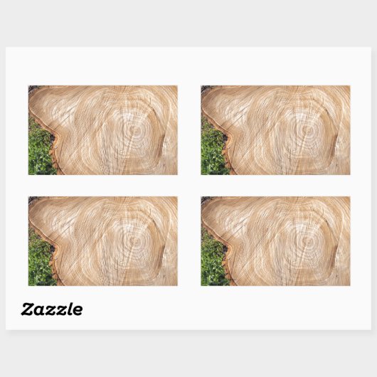 Sticker Rectangulaire Pompe d'arbre fraîche coupée (Feuille)