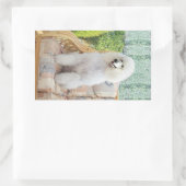 Sticker Rectangulaire Poodle Standard Blanc (Sac)