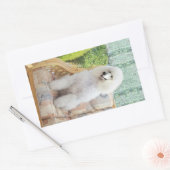 Sticker Rectangulaire Poodle Standard Blanc (Enveloppe)
