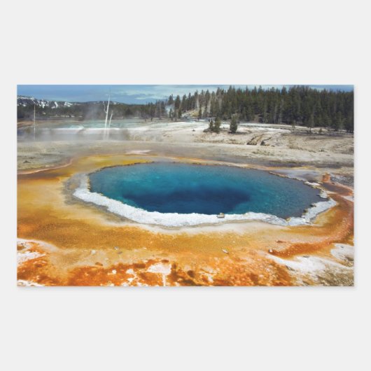 Sticker Rectangulaire Pool Opal (Devant)