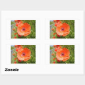 Sticker Rectangulaire Poppies - Coquelicots (Feuille)