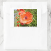 Sticker Rectangulaire Poppies - Coquelicots (Sac)