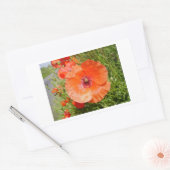 Sticker Rectangulaire Poppies - Coquelicots (Enveloppe)