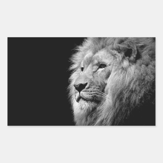 Sticker Rectangulaire Portrait de Lion noir blanc - Photographie d'anima (Devant)