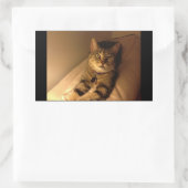 Sticker Rectangulaire Pose modèle Indigo (Sac)