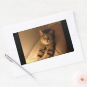 Sticker Rectangulaire Pose modèle Indigo (Enveloppe)