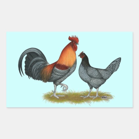 Sticker Rectangulaire Poule bleue du Delaware (Devant)