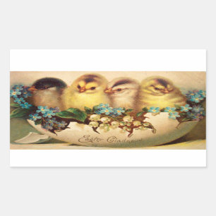 STICKER RECTANGULAIRE POULET AUX FLEURS BLANCHES BLEUES DANS L'OEUF DE P