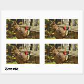 Sticker Rectangulaire Poulet noir et blanc dans la ferme (Feuille)