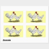 Sticker Rectangulaire Poulets de pieds bleus (Feuille)