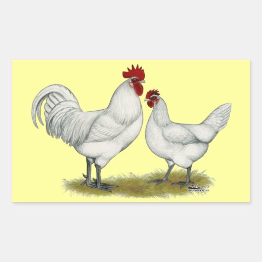 Sticker Rectangulaire Poulets de pieds bleus (Devant)