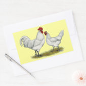 Sticker Rectangulaire Poulets de pieds bleus (Enveloppe)