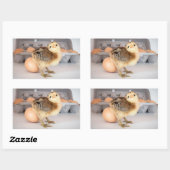 Sticker Rectangulaire Poulets et oeufs précieux pour bébés (Feuille)