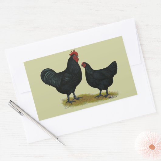 Sticker Rectangulaire Poulets géants Jersey (Enveloppe)