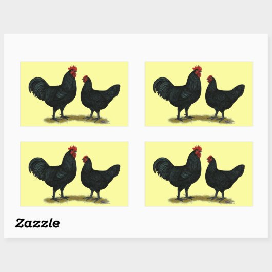 Sticker Rectangulaire Poulets Java noirs (Feuille)