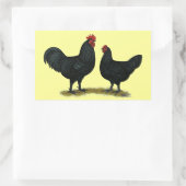 Sticker Rectangulaire Poulets Java noirs (Sac)