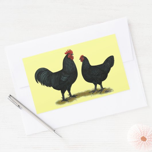 Sticker Rectangulaire Poulets Java noirs (Enveloppe)