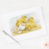 Sticker Rectangulaire Poulets vintages pour bébés (Enveloppe)
