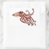 Sticker Rectangulaire Poulpe - Octopus vulgaris (Sac)
