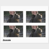 Sticker Rectangulaire Poutine porte un ours ! (Feuille)