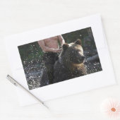 Sticker Rectangulaire Poutine porte un ours ! (Enveloppe)