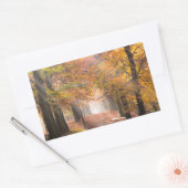 Sticker Rectangulaire Poutres de soleil dans une forêt automnale autocol (Enveloppe)