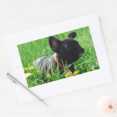 Sticker Rectangulaire Prairie Bouledogue Français (Enveloppe)