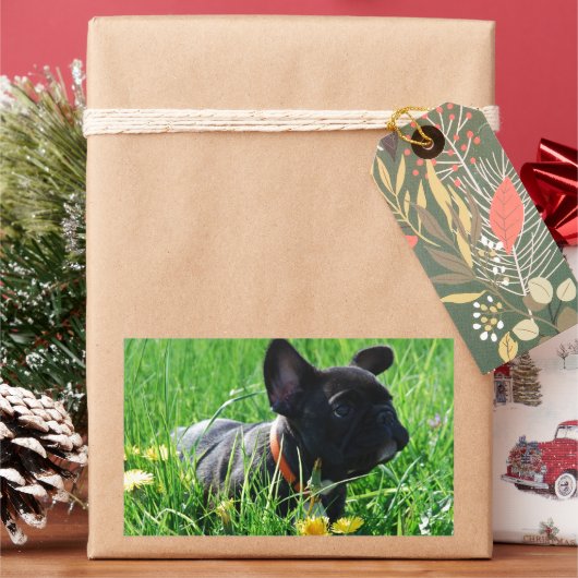 Sticker Rectangulaire Prairie Bouledogue Français (vacances)