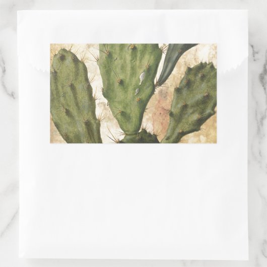 Sticker Rectangulaire Prickly Pear (Sac)