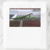 Sticker Rectangulaire Priez Mantis sur mur de briques (Sac)