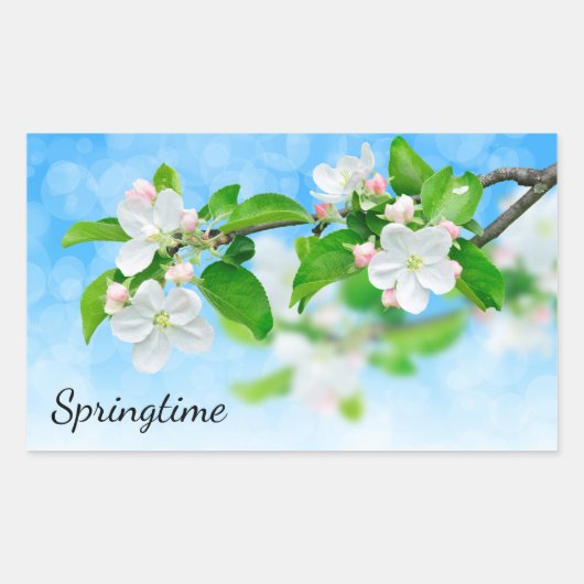 Sticker Rectangulaire Printemps (fleurs de pomme) (Devant)