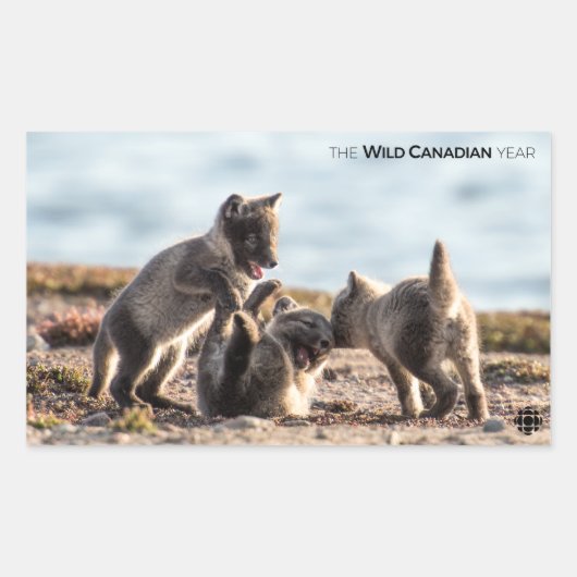 Sticker Rectangulaire Printemps - Renard arctique (Devant)