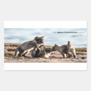 Sticker Rectangulaire Printemps - Renard arctique