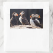 Sticker Rectangulaire Puffins (Sac)