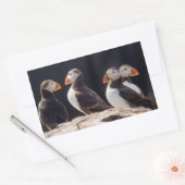 Sticker Rectangulaire Puffins (Enveloppe)