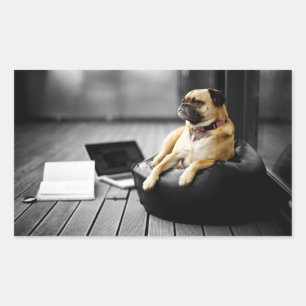 Sticker Rectangulaire Pug at