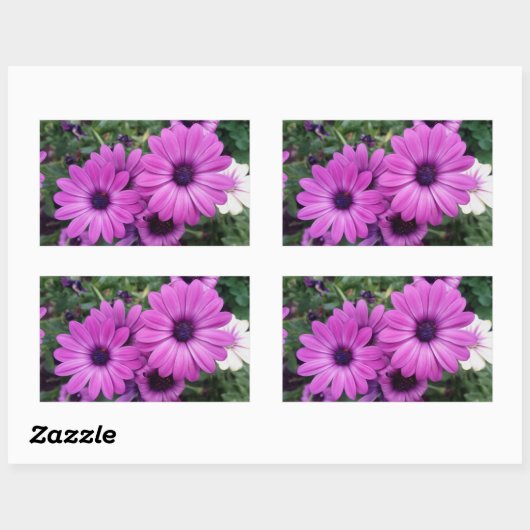 Sticker Rectangulaire Purple daisies (Feuille)