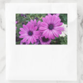 Sticker Rectangulaire Purple daisies (Sac)