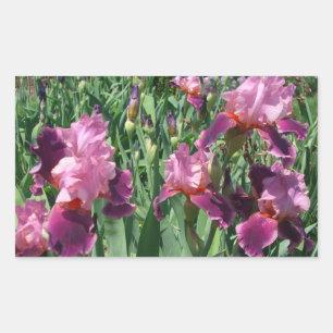 Sticker Rectangulaire Purple Irises Printemps Floral