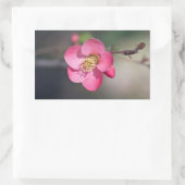 Sticker Rectangulaire Quince à fleurs roses parfaite (Sac)