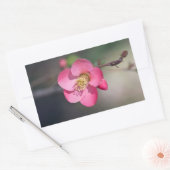 Sticker Rectangulaire Quince à fleurs roses parfaite (Enveloppe)