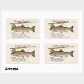 Sticker Rectangulaire Rainbow Trout (Oncorhynchus mykiss) – Fish Illust (Feuille)