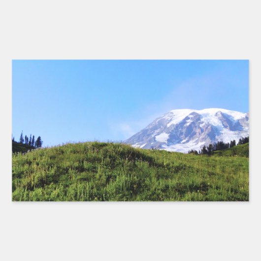 Sticker Rectangulaire Rainier PDSC230 (Devant)