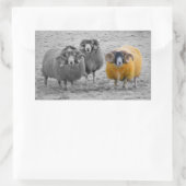 Sticker Rectangulaire Rams écossais (Sac)