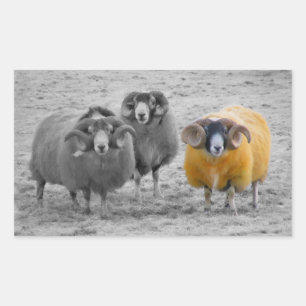 Sticker Rectangulaire Rams écossais