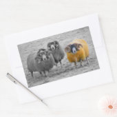 Sticker Rectangulaire Rams écossais (Enveloppe)