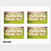 Sticker Rectangulaire Rangée de lapins chiots (Feuille)