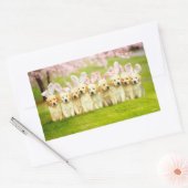 Sticker Rectangulaire Rangée de lapins chiots (Enveloppe)