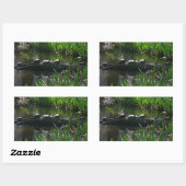 Sticker Rectangulaire Rangée de tortues Green Nature Photo (Feuille)
